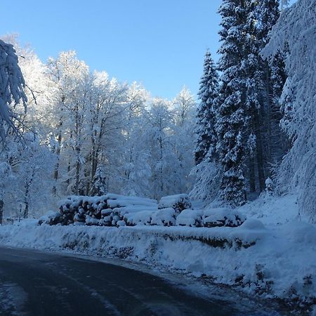 Casa Alpago Apartman Spert Kültér fotó